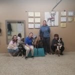 Join Us For an AKC Canine Good Citizen Class