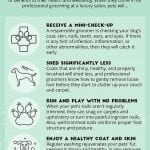 5 Benefits Of Having Your pet Professionally Groomed