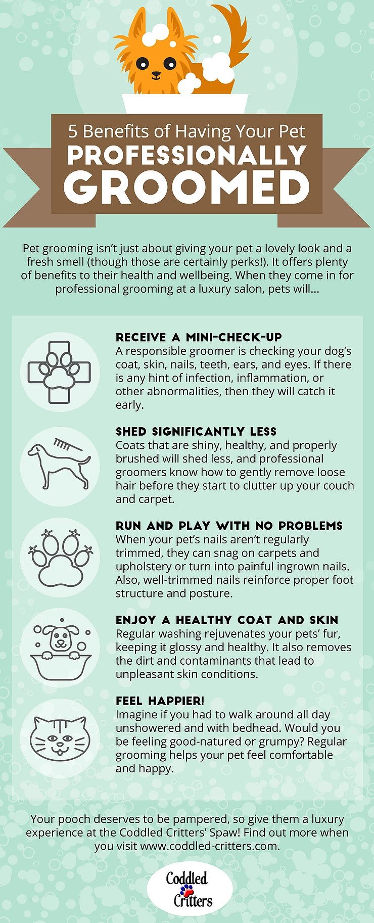 5 Benefits Of Having Your pet Professionally Groomed