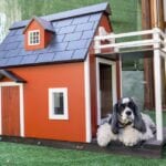 Choosing the Best Boarding Kennel for Your Dog