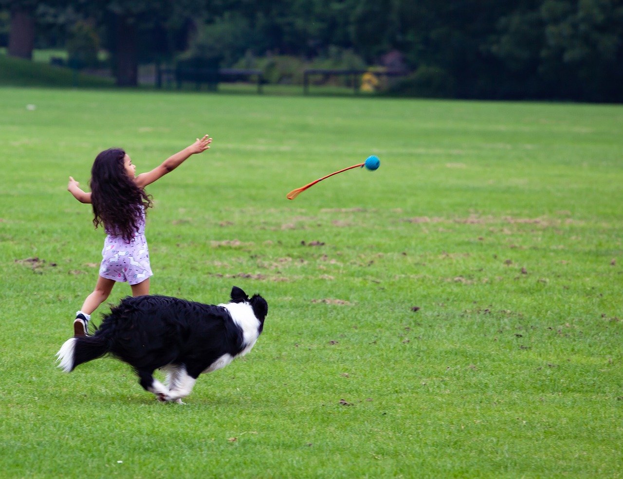How Can Therapy Dogs Help Kids? Coddled Critters